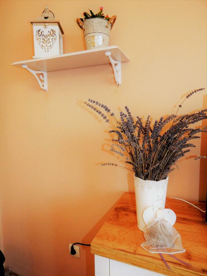Studio Apartman Tvrtko Varazdin Exterior photo